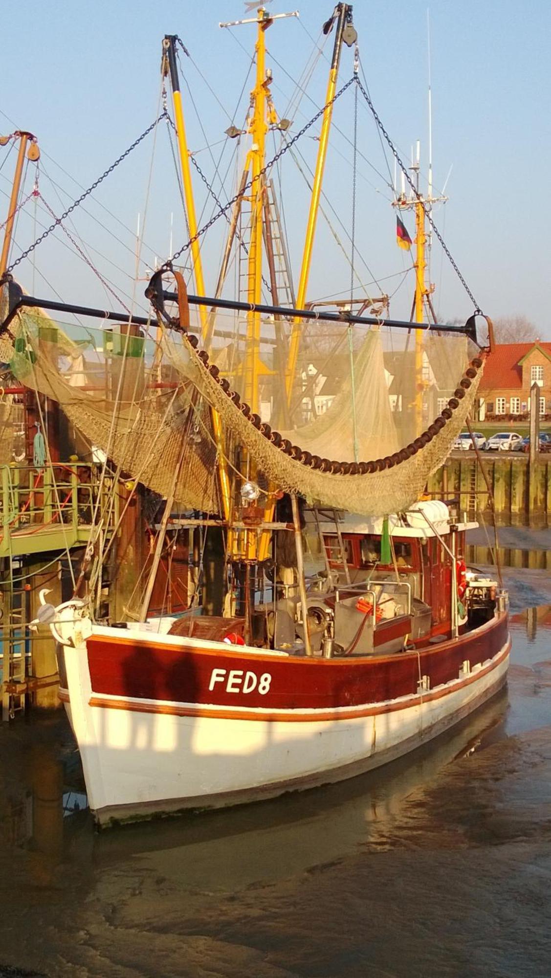 Ferienwohnung Conny Butjadingen Buitenkant foto